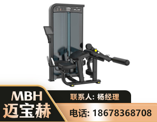 鹰潭卧式屈腿训练器